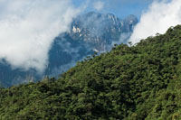 Bosque nublado de relieve escarpado caracterstico del paisaje altoandino.