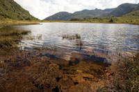Laguna en el pramo de la cordillera Occidental, Parque Nacional Natural Tatam.