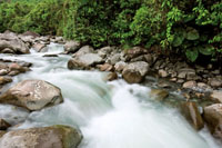 Gran cantidad de quebradas y ros torrentosos descienden por los flancos de la cordillera Occidental hacia el Pacfico.