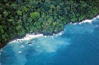 Litoral de roca basltica en la Isla Gorgona.