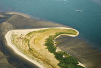 Espiga de playa de formacin reciente en la desembocadura del ro San Juan.