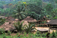 Tiosirilio, aldea indgena en el delta del ro San Juan.