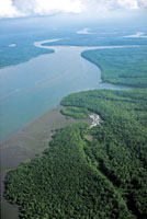Pequeos poblados de comunidades negras en las zonas ribereas de los estuarios aledaas a los manglares.