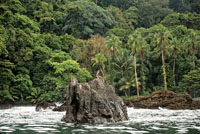 La consistencia del sustrato y la topografa determinan la forma y el tipo de litoral.