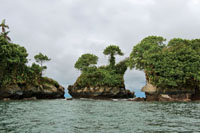 La consistencia del sustrato y la topografa determinan la forma y el tipo de litoral.