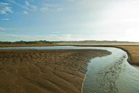 La consistencia del sustrato y la topografa determinan la forma y el tipo de litoral.