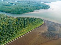 Las zonas deltaicas ofrecen abundantes recursos pesqueros y de agua potable, as como vas de comunicacin.