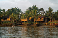 Tpico casero ribereo de las llanuras deltaicas del Pacfico colombiano