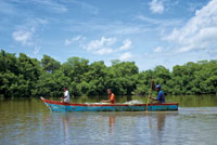 La atarraya, el trasmallo, el boliche y el chinchorro son las artes de pesca ms utilizadas en las lagunas costeras y en los estuarios de Colombia.