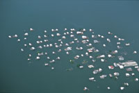 Nueva Venecia, pueblo palaftico en la Cinaga Grande de Santa Marta