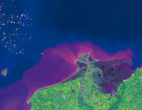 Imagen satlite del rea deltaica del ro Sin, con el delta actual de Tinajones y el complejo de humedales de la baha de Cispat.