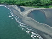 Gran parte de las costas del Pacfico colombiano presentan paisajes caractersticos de las formaciones deltaicas.