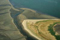 Acumulacin de sedimentos en el ro San Juan.