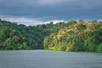 Las aguas y bosques que rodean la Baha de Mlaga representan valores naturales que deben ser conservados.