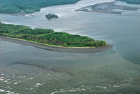 La dinmica de las mareas, del oleaje y de la lnea de costa configuran los rasgos caractersticos de los esteros.