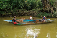 Los potrillos son la embarcacin tpica de los pobladores de la regin.