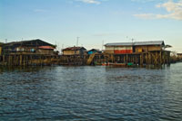 La mayora de la poblacin asentada en el litoral del delta del ro Mira construye sus viviendas sobre pilotes en la zona intermareal.