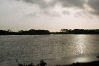 Espiga litoral que separa las aguas de la Cinaga Grande de Santa Marta del mar abierto.