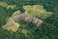Destruccin de bosques para adecuacin de potreros.