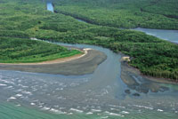 El ro y el mar miden sus fuerzas en el frente deltaico