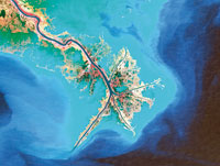 En el delta del ro Mississippi predomina la influencia fluvial