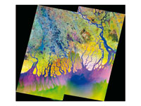 El gran delta de los Sundarbans en la baha de Bengala muestra la influencia de los mares.