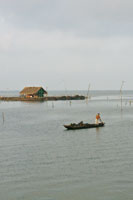 Vivienda palaftica en la Cinaga Grande de Santa Marta