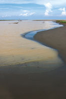 Al encontrarse con el mar, los sedimentos ms pesados del ro ya no se pueden mantener en suspensin y se depositan fomando bancos de arena.