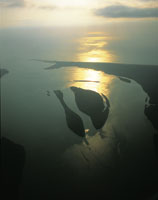 Los deltas actuales son el resultado de la acumulacin de sedimentos en las desembocaduras de los ros durante los ltimos 4.000 aos.