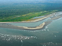 La confluencia de tierra, mar y agua dulce propicia la formacin de hbitats para gran variedad de plantas y animales.