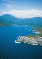 En el interior de baha Concha se encuentran varias formaciones rocosas como punta La Cueva; el infralitoral en esta zona, est compuesto principalmente de fanergamas y algunos corales.