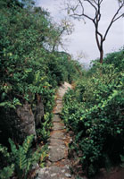 A la llegada de los espaoles, la Sierra estaba densamente poblada por indgenas tayronas que comunicaron sus poblados a travs de caminos empedrados.