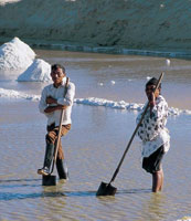 Los guajiros son un pueblo aguerrido, de costumbres arraigadas. Sus rancheras son tal vez el aspecto cultural ms sobresaliente que se constituye como el ncleo de su unidad familiar. Parte de su sustento est basado en la cra de ganado caprino y en la
