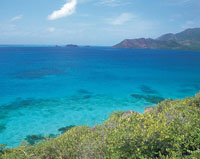 En las aguas clidas y pobres en nutrientes del rea martima de Providencia se desarrolla una impresionante barrera coralina de 20 km de longitud y ms de 500 m de ancho.