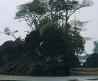 Las playas del golfo de Cupica y sus bahas estn asociadas a espigas o barras de arena. En ellas son frecuentes las formaciones de roca gnea, que se encuentran cubiertas en la cima por vegetacin.