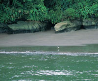 Isla Palma en la entrada a baha Mlaga.