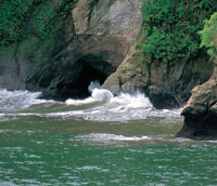 Los acantilados, que en promedio tienen 15 m de altura, son moldeados continuamente por la accin del fuerte oleaje del Pacfico.