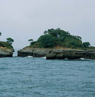 La topografa escarpada y discontinua del rea, permite suponer la existencia de una falla tectnica inactiva que se extiende desde punta Alta hasta isla Palma, en la entrada a la baha, que ha favorecido la formacin de escarpes, acantilados y cuevas.