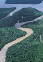 En los deltas de la baha la costa es baja y sedimentaria y se encuentra cruzada por una serie de canales, esteros, quebradas y ros, muchos de los cuales traen aportes de sedimentos desde la cordillera Occidental.