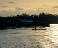 La baha de Tumaco es una de las que recibe mayor cantidad de afluentes fluviales y en ella se desarrollan diversos ecosistemas estuarinos, donde hay una abundante riqueza ctica.