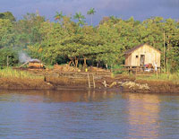 Las costumbres de la regin se mantienen fuertemente arraigadas entre sus habitantes; la construccin de casas sobre pilares y de canoas de madera, al igual que las tcnicas artesanales de pesca, han variado muy poco con el paso del tiempo.