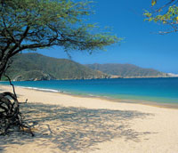 Las puntas que conforman la entrada a las bahas reducen en gran medida la fuerza del oleaje contra la costa interna, donde las comunidades biolgicas encuentran condiciones favorables para establecerse.