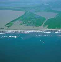 Las costas de barrera se caracterizan por tener una franja arenosa que separa el mar de las lagunas interiores. Isla de Salamanca en el departamento de Magdalena.