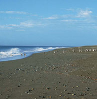 El litoral de Tierra de Fuego muestra un aspecto muy plano y grandes zonas intermareales, que son caractersticas de la llanura de marea.