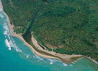 En algunas desembocaduras de ros o madreviejas, el litoral se presenta protegido por un banco de arena que resulta de los sedimentos arrastrados por la corriente; este es un lugar donde habitan muchas especies que se benefician del intercambio de aguas.