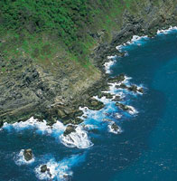 Los acantilados se modifican por la erosin que causa el mar en las rocas, dentro de las cuales se forman algunas cavidades que son aprovechadas como sitio de nidacin por diversas especies de aves.