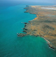 Las condiciones ambientales que ofrece la plataforma continental, son favorables para la existencia de una elevada diversidad biolgica que est en relacin directa con su profundidad.