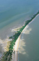 Las lagunas costeras estn protegidas del mar por una barrera de sedimentos que permite el intercambio de aguas.