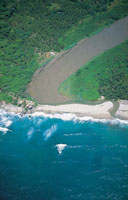 En la desembocadura de algunos ros se presenta una coneccin libre con el mar.