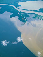 En el delta de los grandes ros se mezclan las aguas marinas con las dulces y son los lugares que reciben mayores aportes de sedimentos continentales. Delta del ro Atrato.